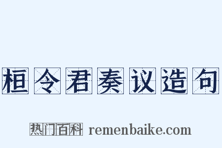 桓令君奏议造句是什么意思的图片